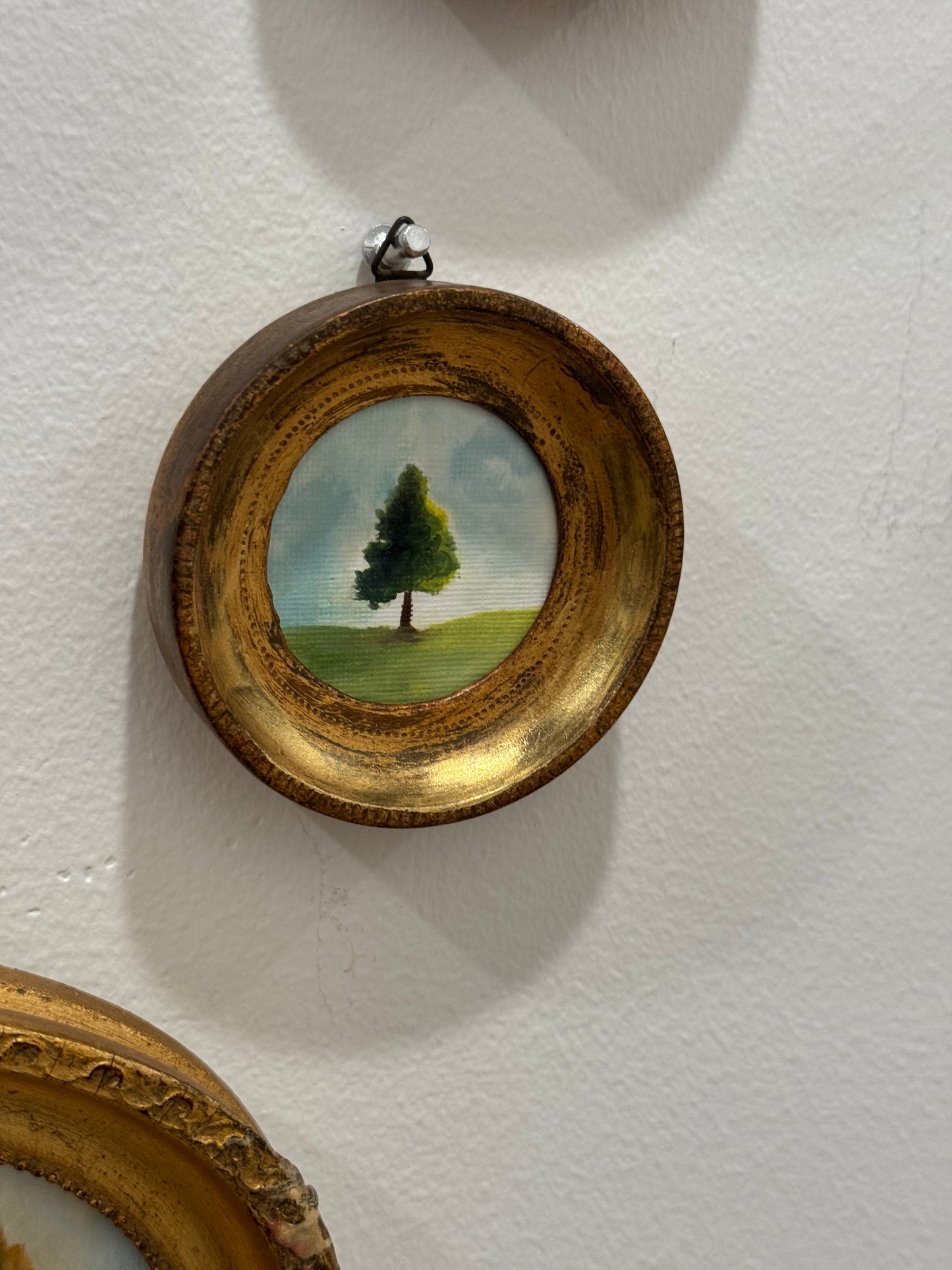A lonely Tree