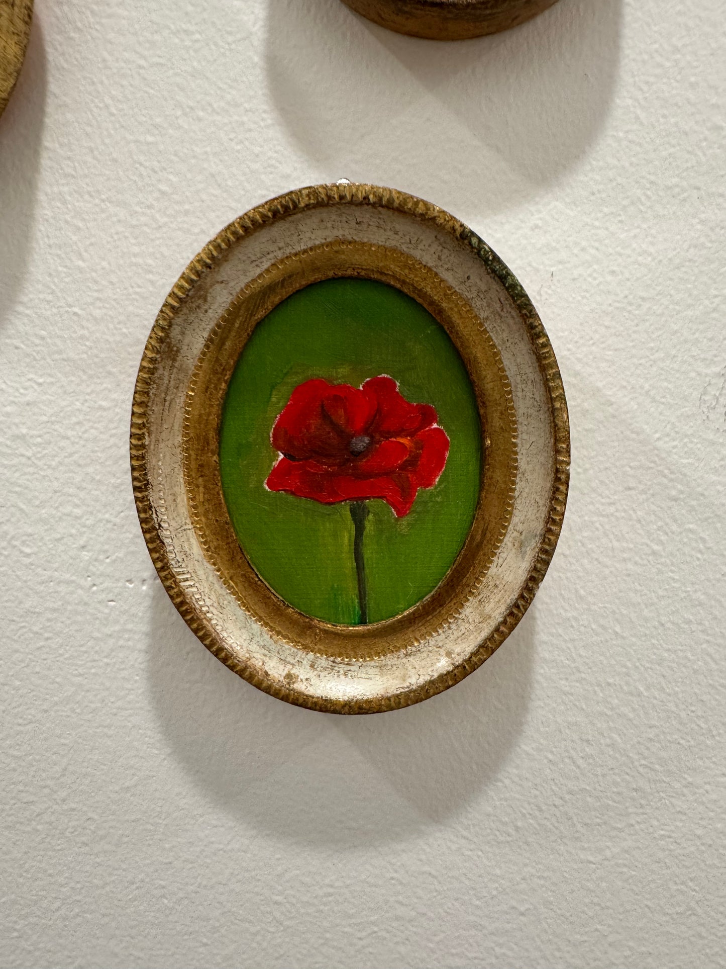 Just a Poppy