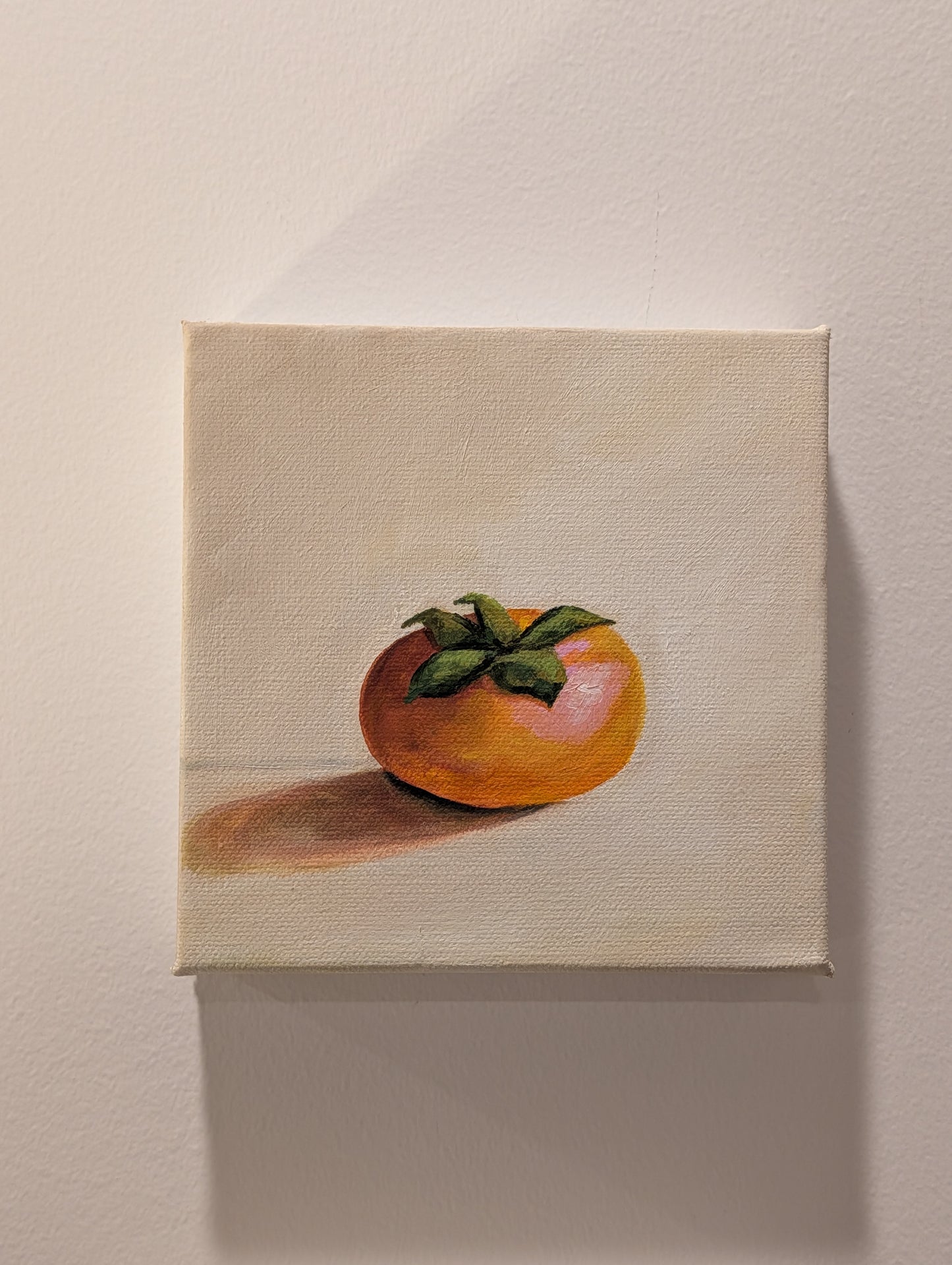 The Persimmon