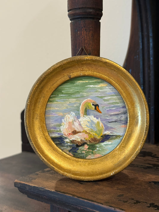 Picturesque Swan!